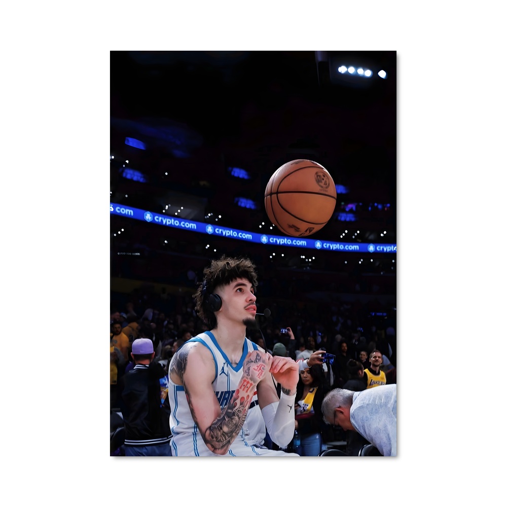 Poster Lamelo ball brut